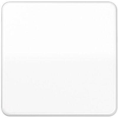 Jung CD 590 BF WW Wandschalter - Lichtschalter Jung CD 590 BF WW Wandschalter - Lichtschalter