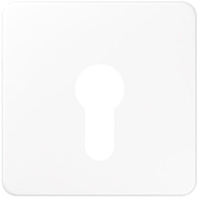 JUNG, Zubehör Schalterprogramm, Schlüssel/Abd Schalter CD aws glz CD525WW JUNG, Zubehör Schalterprogramm, Schlüssel/Abd Schalter CD aws glz CD525WW