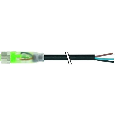 Murr Elektronik 7000-08111-6501000 Sensor-/Aktor-Steckverbinder, unkonfektionier, Elektronikkabel + Stecker, Schwarz Murr Elektronik 7000-08111-6501000 Sensor-/Aktor-Steckverbinder, unkonfektionier, Elektronikkabel + Stecker, Schwarz