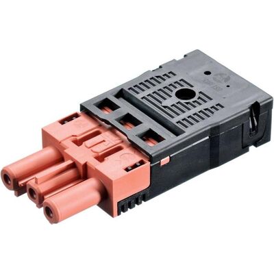 Bachmann, Netzstecker + Netzkupplung, Wieland Drahtverbinder Bachmann, Netzstecker + Netzkupplung, Wieland Drahtverbinder