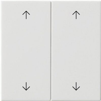 Gira Wippe 2f Pfeile System 55 Reinweiss 538703, Schalter + Taster, Weiss Gira Wippe 2f Pfeile System 55 Reinweiss 538703, Schalter + Taster, Weiss
