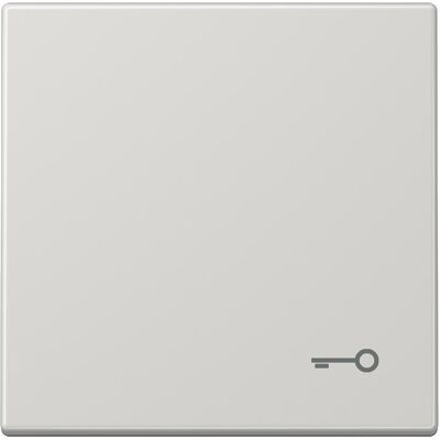 JUNG, Zubehör Schalterprogramm, Wippe Schalter LS lgr glz Schl/Tür LS990TLG JUNG, Zubehör Schalterprogramm, Wippe Schalter LS lgr glz Schl/Tür LS990TLG