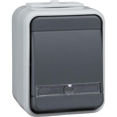 Elso ELG442619 - Universalschalter - IP44 - 10A 250V Elso ELG442619 - Universalschalter - IP44 - 10A 250V