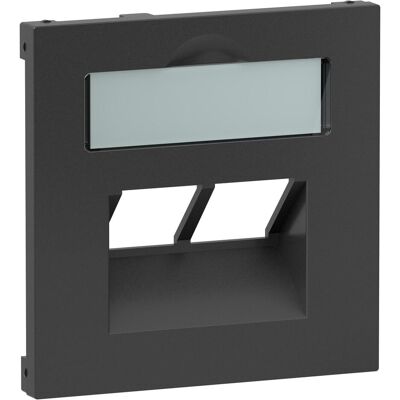 Legrand, Zubehör Schalterprogramm, SEANO Abdeckung 2x RJ45 für Datendosen von Metz, Telegärtner und Rutenbeck, inkl. Beschriftu Legrand, Zubehör Schalterprogramm, SEANO Abdeckung 2x RJ45 für Datendosen von Metz, Telegärtner und Rutenbeck, inkl. Beschriftu