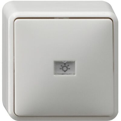 Gira Wipptaster - 015613 Schalter, weiß, 1W, IP20, Wandmontage Gira Wipptaster - 015613 Schalter, weiß, 1W, IP20, Wandmontage