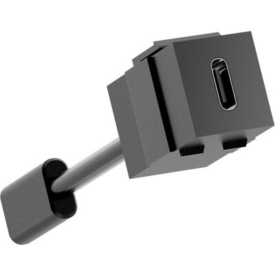 Bachmann, Netzstecker + Netzkupplung, KEYSTONE COUPLEUR USB 3.2 C-C PD 100W Bachmann, Netzstecker + Netzkupplung, KEYSTONE COUPLEUR USB 3.2 C-C PD 100W