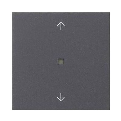 Gira 510528, Taster + Schalter, Grau Gira 510528, Taster + Schalter, Grau