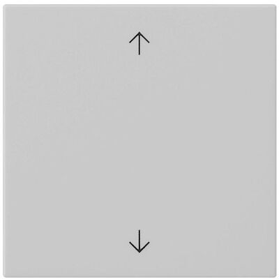 Gira Wippe 1f Pfeile System 55 Grau m 5389015, Schalter + Taster, Grau Gira Wippe 1f Pfeile System 55 Grau m 5389015, Schalter + Taster, Grau