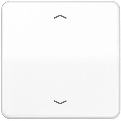 JUNG, Lichtschalter + Storenschalter, Bedienelement 1f aws CD m.Abd f.Dimmeins CD1700PWW JUNG, Lichtschalter + Storenschalter, Bedienelement 1f aws CD m.Abd f.Dimmeins CD1700PWW