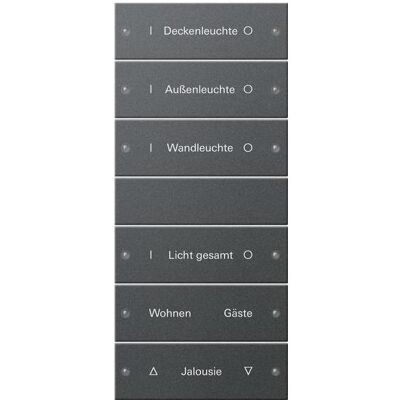 Gira, Zubehör Schalterprogramm, Wippenset 6f (3+3) beschr. System 55 220628 Gira, Zubehör Schalterprogramm, Wippenset 6f (3+3) beschr. System 55 220628