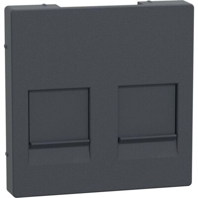 Merten, Zubehör Schalterprogramm, Zentralplatte für Modular Jack 2fach m. MEG4562-0414 Merten, Zubehör Schalterprogramm, Zentralplatte für Modular Jack 2fach m. MEG4562-0414