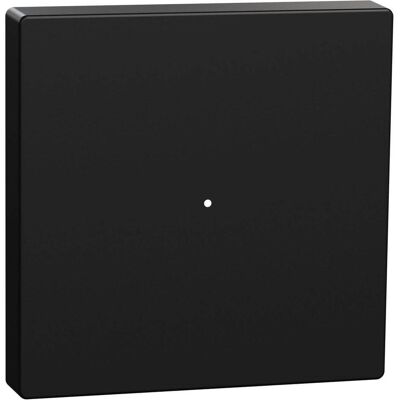 Schneider Electric Merten Schwarzer Eco-Schalter - Schalter und Steckdosen Schneider Electric Merten Schwarzer Eco-Schalter - Schalter und Steckdosen
