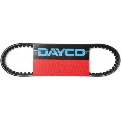 Dayco, Zubehör Antriebstechnik, 7198 K Keilriemen geriffelt (Keilriemen) Dayco, Zubehör Antriebstechnik, 7198 K Keilriemen geriffelt (Keilriemen)