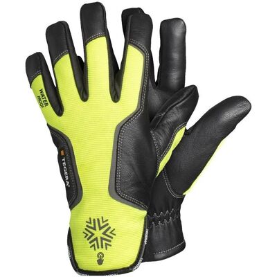 Ejendals, Schutzhandschuhe, Kälteschutzhandschuh-Paar Tegera 7798, Handschuhgrösse: 11 (11) Ejendals, Schutzhandschuhe, Kälteschutzhandschuh-Paar Tegera 7798, Handschuhgrösse: 11 (11)