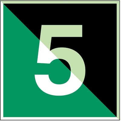 Brady, Sicherheitskennzeichnung, E/Y005/NT-SA-PHOLUMC-150x150/1-B, Im Dunkeln phosphoreszierendes Sicherheitspiktogramm Brady, Sicherheitskennzeichnung, E/Y005/NT-SA-PHOLUMC-150x150/1-B, Im Dunkeln phosphoreszierendes Sicherheitspiktogramm
