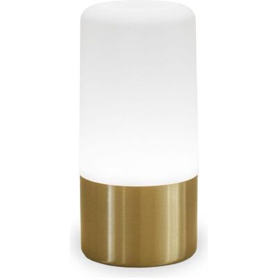 Newgarden MAIA LED Gartenleuchte Akku Silber IP44 - Gartenleuchte Newgarden MAIA LED Gartenleuchte Akku Silber IP44 - Gartenleuchte
