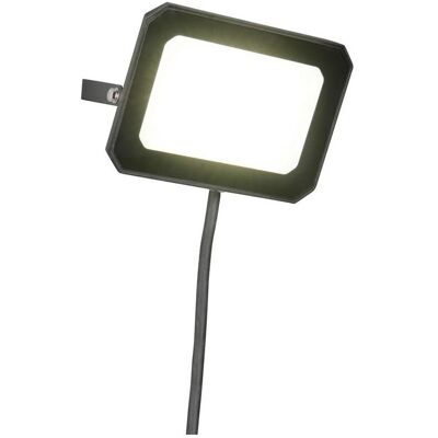 Reality, Gartenbeleuchtung, R23346232 Funchal LED Wandleuchte 30W Schwarz Matt IP65 neutralweiss (IP65) Reality, Gartenbeleuchtung, R23346232 Funchal LED Wandleuchte 30W Schwarz Matt IP65 neutralweiss (IP65)