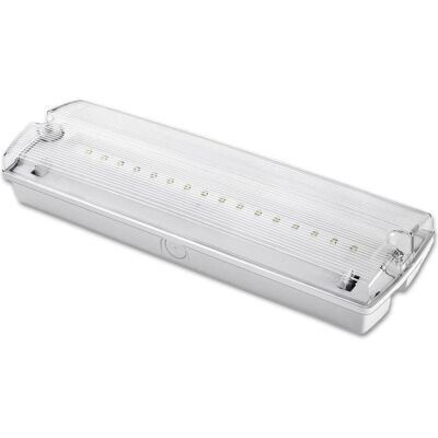 ISOLED Notlicht/Fluchtwegleuchte UNI4 Autotest 4W IP65 ISOLED Notlicht/Fluchtwegleuchte UNI4 Autotest 4W IP65