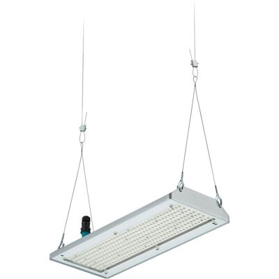 Philips Arbeitsleuchte, LED-Hallenleuchte (13000 lm) Philips Arbeitsleuchte, LED-Hallenleuchte (13000 lm)