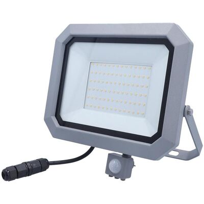 As - Schwabe, Gartenbeleuchtung, LED Strahler mit Anschlussadapter (6500 lm, IP44) As - Schwabe, Gartenbeleuchtung, LED Strahler mit Anschlussadapter (6500 lm, IP44)