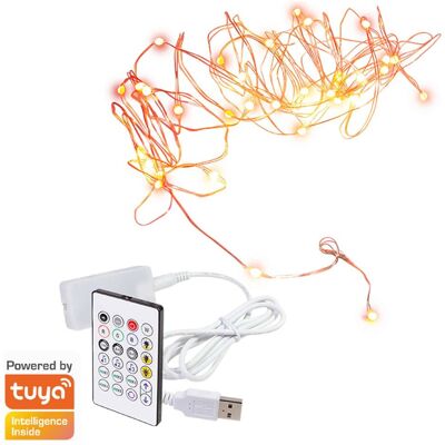 LogiLink, Lichterkette, Wi-Fi Smart RGB-Lichterkette mit Fernbedienung, Tuya kompatibel, 5 m (5 m) LogiLink, Lichterkette, Wi-Fi Smart RGB-Lichterkette mit Fernbedienung, Tuya kompatibel, 5 m (5 m)