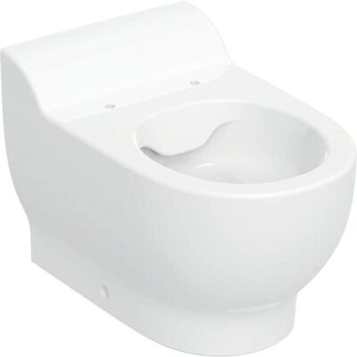 Geberit Toilette + Bidet, Bambini Stand WC für Kinder, Tiefspüler, Rimfree, Höhe:30cm Geberit Toilette + Bidet, Bambini Stand WC für Kinder, Tiefspüler, Rimfree, Höhe:30cm