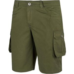 Alpinus, Herren, Shorts, Spodenki męskie Hekla zielone SI18154 L, Grün, (L) Alpinus, Herren, Shorts, Spodenki męskie Hekla zielone SI18154 L, Grün, (L)