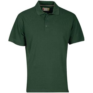 Payper, Herren, Shirts, Polo-Shirt, Grün, (S) Payper, Herren, Shirts, Polo-Shirt, Grün, (S)