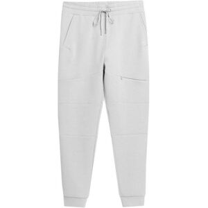 4F, Herren, Hosen, Hose, Grau, Silber, (M) 4F, Herren, Hosen, Hose, Grau, Silber, (M)