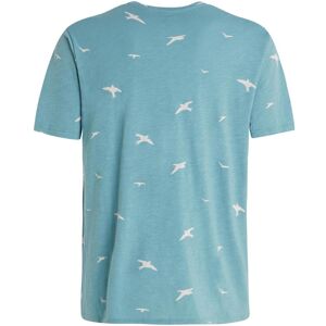 Protest, Herren, Shirts, Herren-T-Shirt Podnillo T-Shirt, Grün, (M) Protest, Herren, Shirts, Herren-T-Shirt Podnillo T-Shirt, Grün, (M)