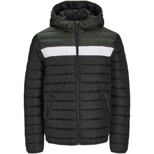 Jack & Jones, Herren, Winterjacken, Jwhwing Hood Puffer, Grün, Schwarz, (M) Jack & Jones, Herren, Winterjacken, Jwhwing Hood Puffer, Grün, Schwarz, (M)