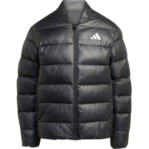 Adidas Herren, Winterjacken, Essentials Climawarm Synthetik-Daunenjacke für Herren, Schwarz, Schwarz, (XXL) Adidas Herren, Winterjacken, Essentials Climawarm Synthetik-Daunenjacke für Herren, Schwarz, Schwarz, (XXL)