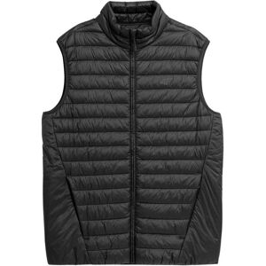 4F, Herren, Westen, Herren Daunenweste Deep Black 4FSS23TDJAM082 20S (M), Schwarz, (M) 4F, Herren, Westen, Herren Daunenweste Deep Black 4FSS23TDJAM082 20S (M), Schwarz, (M)