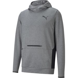 Puma Herren, Pullover, RTG Hoodie-585831, Grau, (L) Puma Herren, Pullover, RTG Hoodie-585831, Grau, (L)