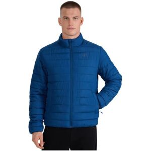 4F, Herren, Winterjacken, Herren Daunenjacke M597 dunkelblau, Blau, (M) 4F, Herren, Winterjacken, Herren Daunenjacke M597 dunkelblau, Blau, (M)