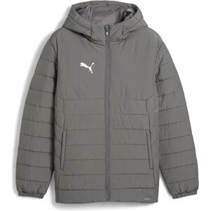 Puma Herren, Winterjacken, teamADDITIONS Hooded Padded Jacket, Grau, (S) Puma Herren, Winterjacken, teamADDITIONS Hooded Padded Jacket, Grau, (S)