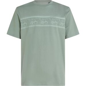 O'Neill, Herren, Shirts, Mix & Match Floral Graphic T-Shirt, Grün, Türkis, (L) O'Neill, Herren, Shirts, Mix & Match Floral Graphic T-Shirt, Grün, Türkis, (L)