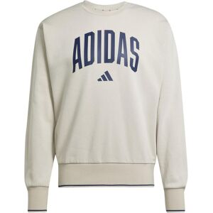 Adidas Herren, Pullover, graues Herren-College-Sweatshirt, Silber, Grau, (L) Adidas Herren, Pullover, graues Herren-College-Sweatshirt, Silber, Grau, (L)