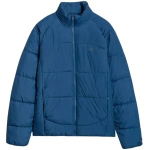 4F, Herren, Winterjacken, Herren-Daunenjacke, dunkelmarineblau, Blau, (XL) 4F, Herren, Winterjacken, Herren-Daunenjacke, dunkelmarineblau, Blau, (XL)