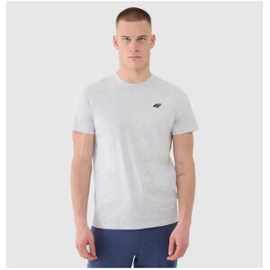 4F, Herren, Hemden, Hemd, Grau, Silber, (XXL) 4F, Herren, Hemden, Hemd, Grau, Silber, (XXL)