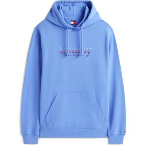 Tommy Jeans, Herren, Pullover, Tjm Reg Entry Dna Play Hood, Blau, (L) Tommy Jeans, Herren, Pullover, Tjm Reg Entry Dna Play Hood, Blau, (L)