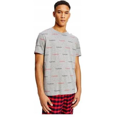 Tommy Hilfiger Herren, Shirts, CN SS Tee Print Um0um02132 0im m, (M) Tommy Hilfiger Herren, Shirts, CN SS Tee Print Um0um02132 0im m, (M)