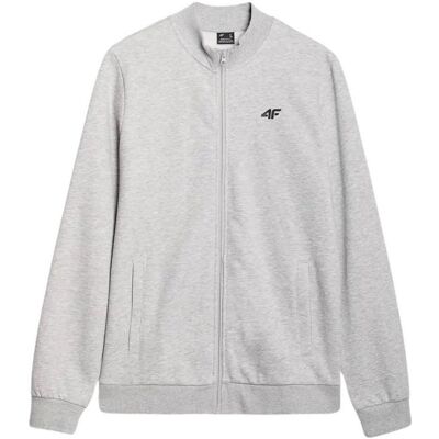 4F, Herren, Blusen, Bluse, Grau, Silber, (M) 4F, Herren, Blusen, Bluse, Grau, Silber, (M)