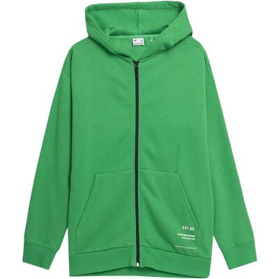 4F, Herren, Pullover, Herrenbluse grün 4FSS23TSWSM236 41S (S), Grün, (S) 4F, Herren, Pullover, Herrenbluse grün 4FSS23TSWSM236 41S (S), Grün, (S)