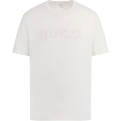 Guess Herren, Shirts, SS ALPHY T-SHIRT Z2YI11J1314 SCFY L L, (L) Guess Herren, Shirts, SS ALPHY T-SHIRT Z2YI11J1314 SCFY L L, (L)