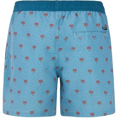 Protest, Herren, Shorts, Herren PRTParco Strandshorts blau, Blau, (L) Protest, Herren, Shorts, Herren PRTParco Strandshorts blau, Blau, (L)