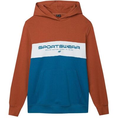 4F, Herren, Pullover, Herren Sweatshirt M1032 braun 4FWSS24TSWSM1032 81S L, Braun, (L) 4F, Herren, Pullover, Herren Sweatshirt M1032 braun 4FWSS24TSWSM1032 81S L, Braun, (L)