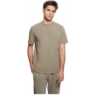 Guess Herren, Shirts, Herren-T-Shirt Alpha Grün, Grün, (M) Guess Herren, Shirts, Herren-T-Shirt Alpha Grün, Grün, (M)