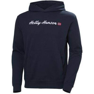 Helly Hansen, Herren, Pullover, Herren Core Graphic Sweat Hoodie, (M) Helly Hansen, Herren, Pullover, Herren Core Graphic Sweat Hoodie, (M)