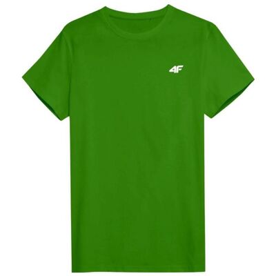 4F, Herren, Shirts, Herren-T-Shirt, Grün, (L) 4F, Herren, Shirts, Herren-T-Shirt, Grün, (L)